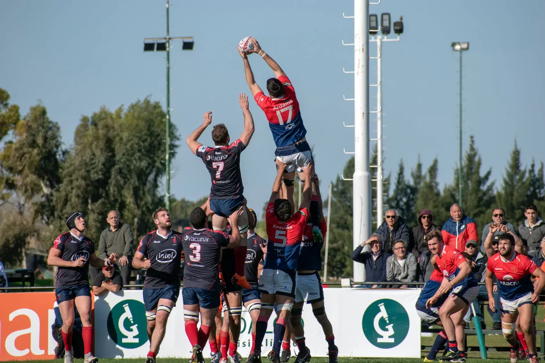 Lineout Basics: How to Win the Ball
