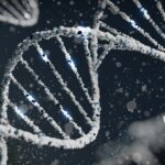 The Role of Genetics in Defining Sporting Performance: 7 Key Insights